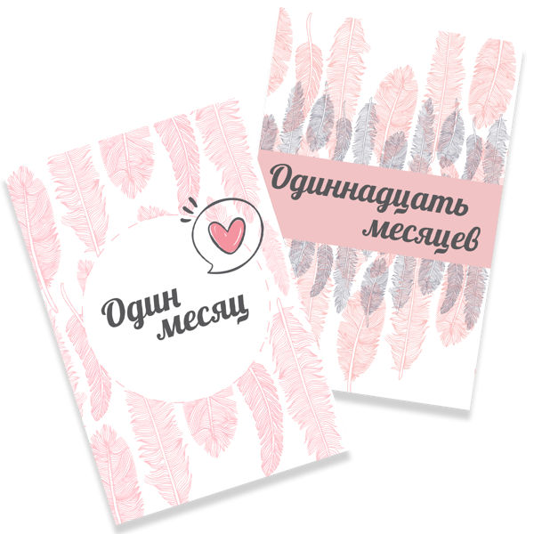Fetaher PINK BeLoved Mēneša kartiņu komplekts krievu valodā (RU) 12gb.